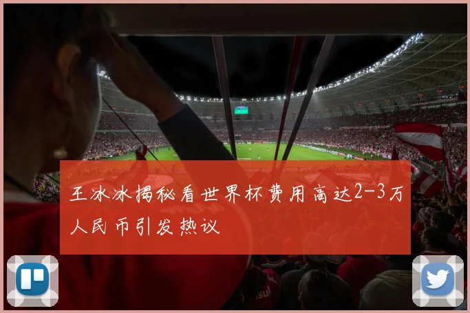 王冰冰揭秘看世界杯费用高达2-3万人民币引发热议