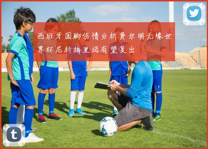 西班牙国脚伤情分析费尔明无缘世界杯尼科梅里诺有望复出