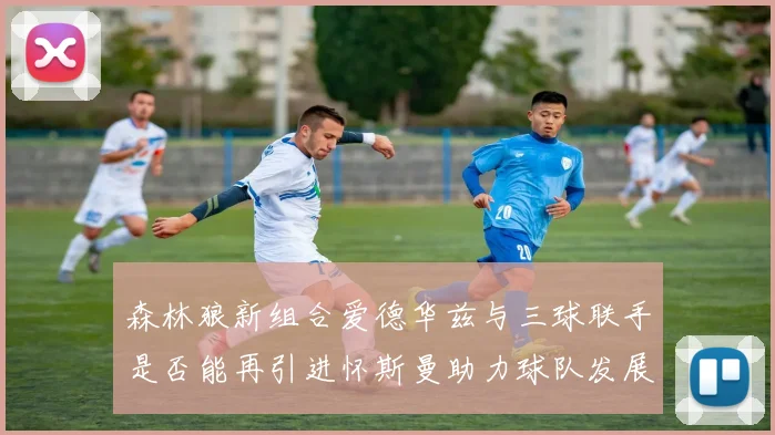 森林狼新组合爱德华兹与三球联手是否能再引进怀斯曼助力球队发展